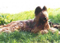 (4) S LITTER BRIARD 14/08/2001