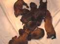 (2) G LITTER BRIARD 26/02/2011